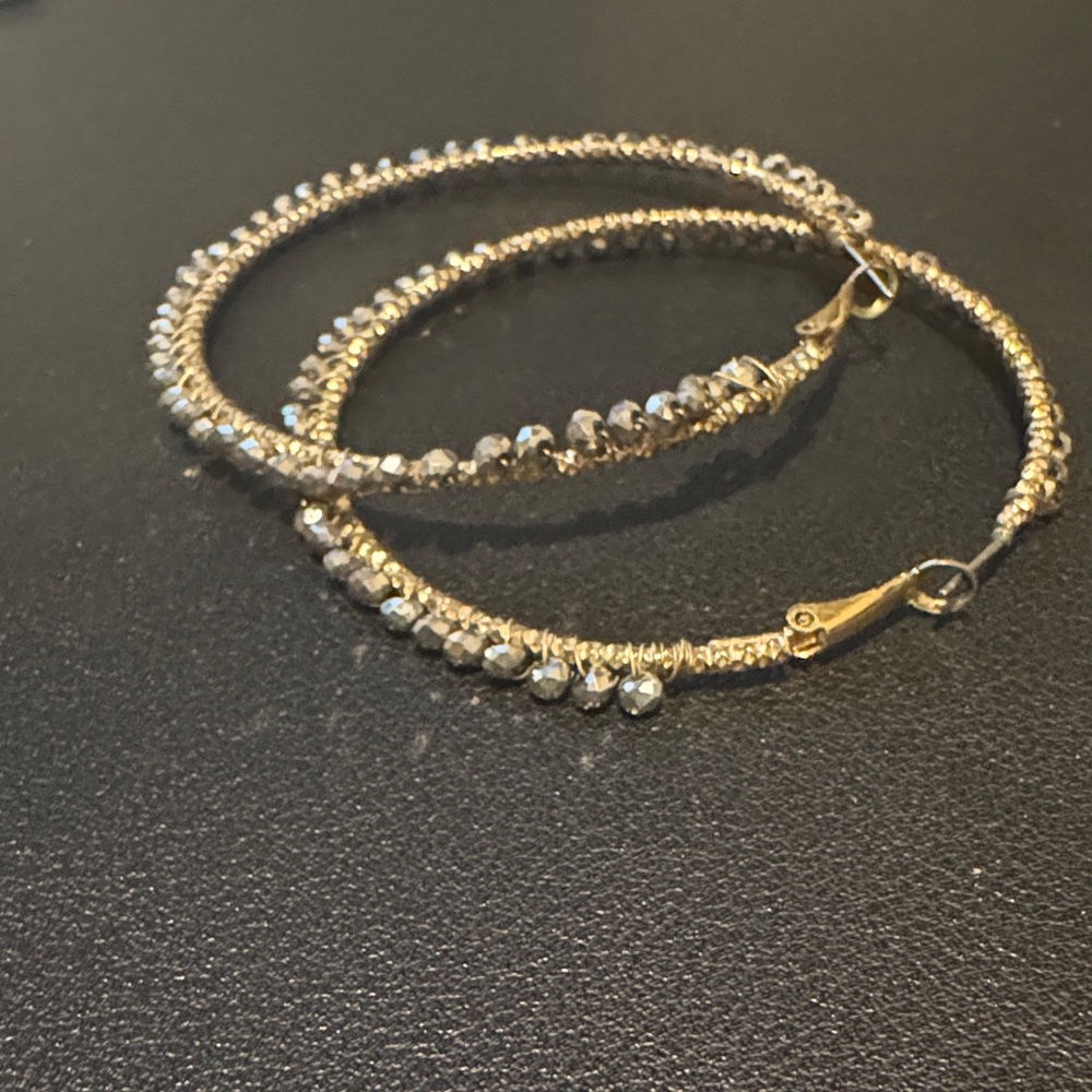 Elegant Gold and Silver Hoop Earrings
